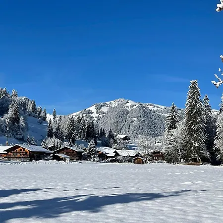 Gstaad Chalet Chalet *