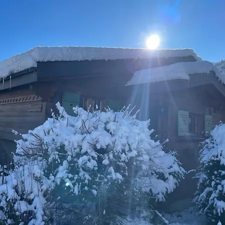 Chalet Gstaad Chalet