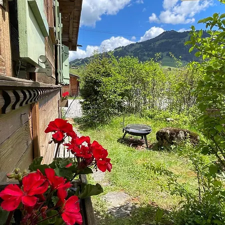 Gstaad Chalet Chalet Gstaad